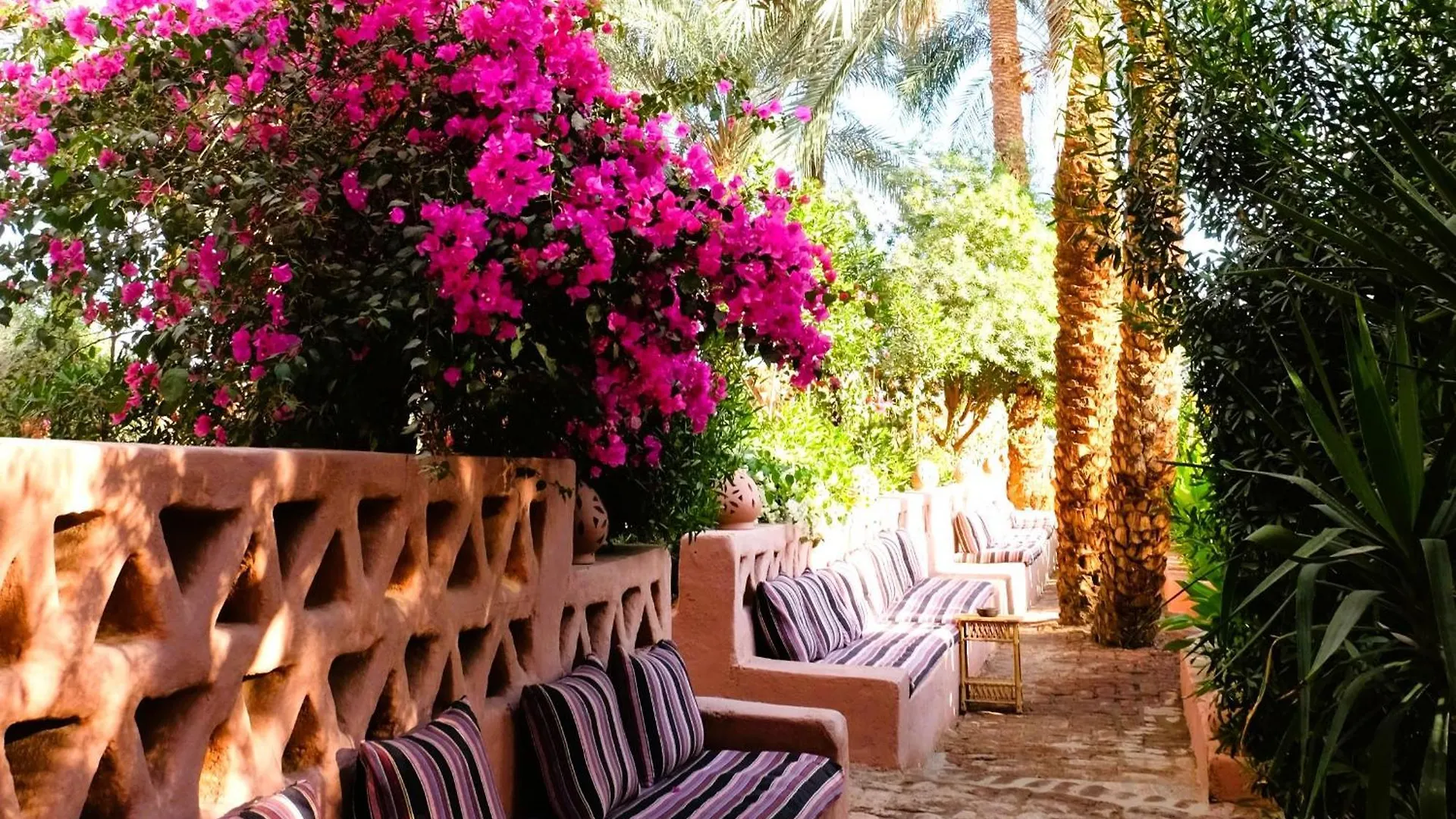 فندق Bab Al Samawy الأقصر 0*,