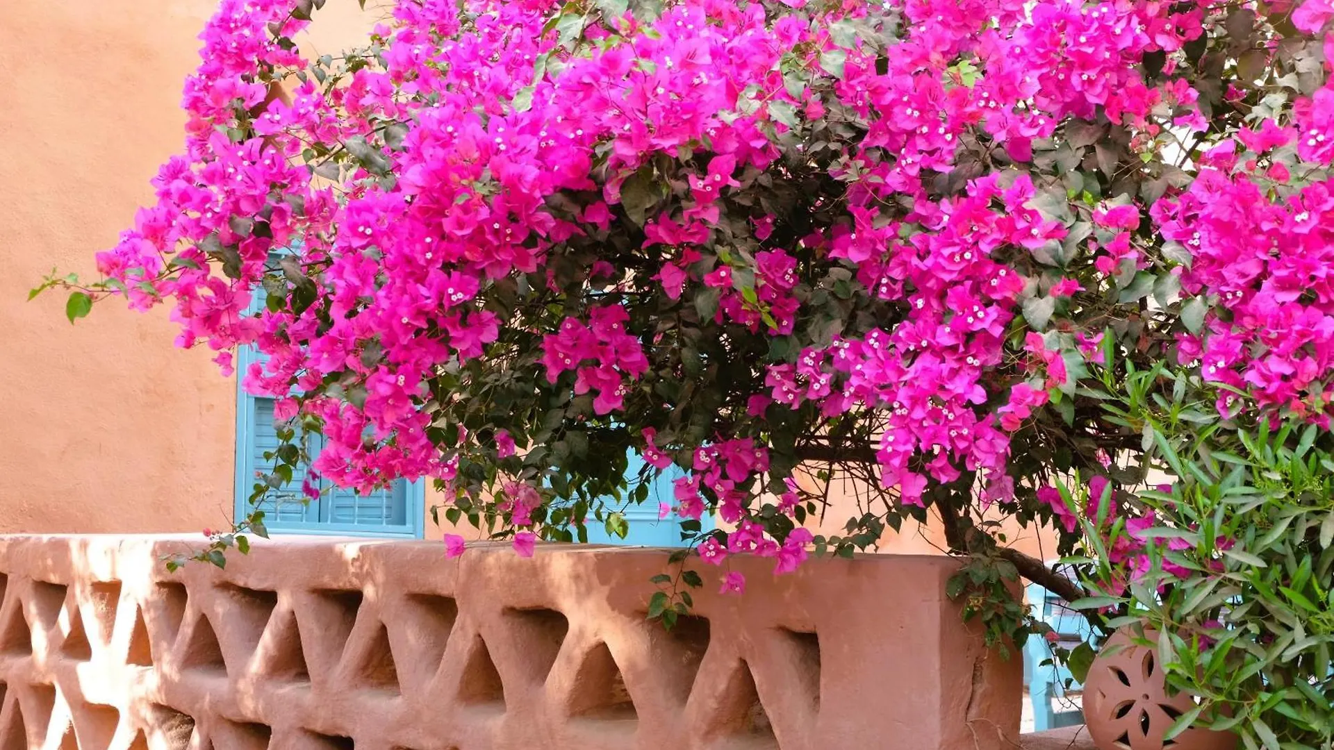 فندق Bab Al Samawy الأقصر