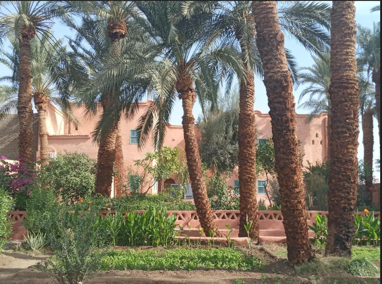 فندق Bab Al Samawy الأقصر